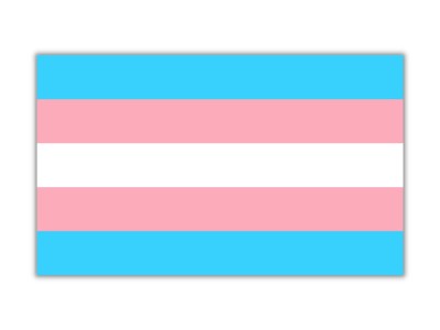 Trans flag.jpeg